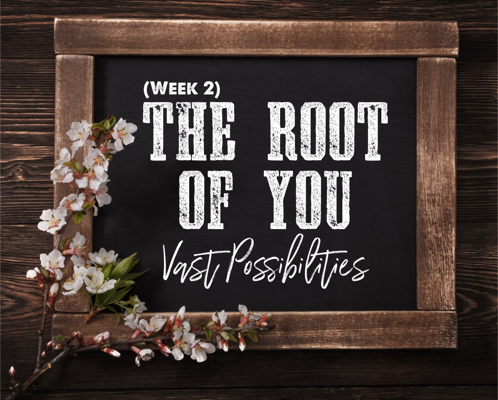Women’s Devotional | The Root of You – Week #2