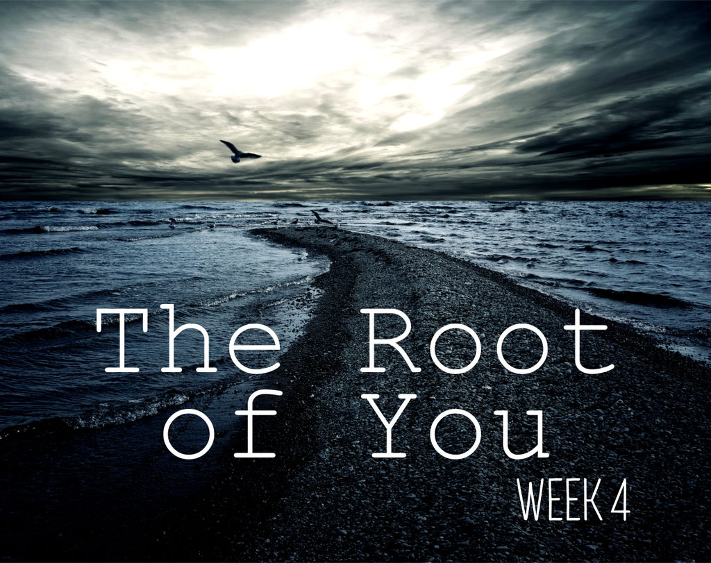 Women’s Devotional | The Root of You – Week #4