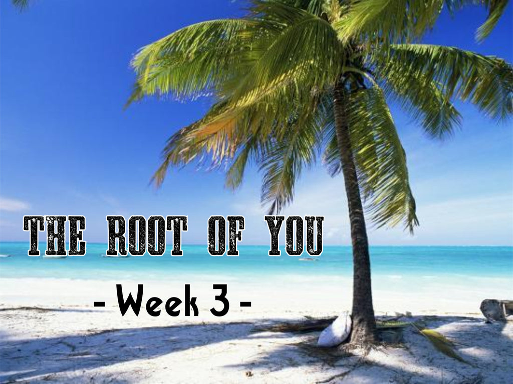 Women’s Devotional | The Root of You – Week #3