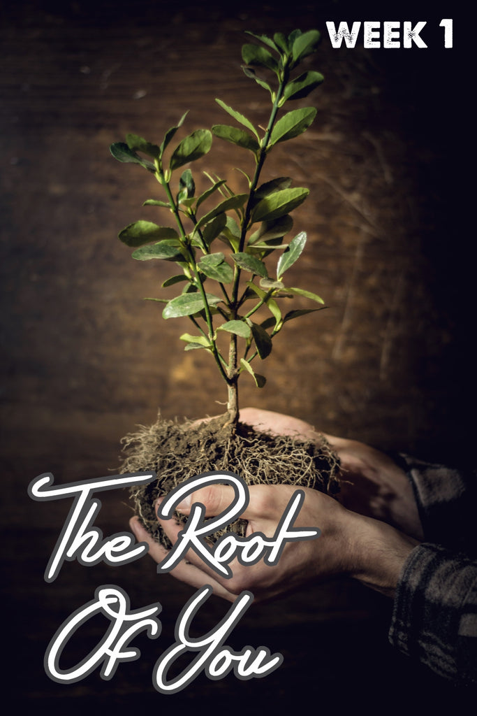 Women’s Devotional | The Root of You – Week #1